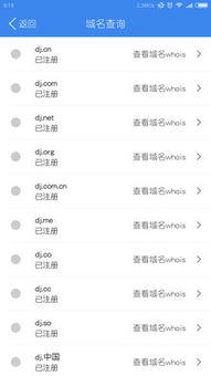 点击网络 解析互联网域名注册服务的价值与未来