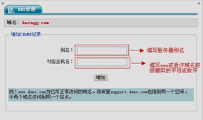 一网打尽 中小企业上网必备的互联网基础设施与选择指南